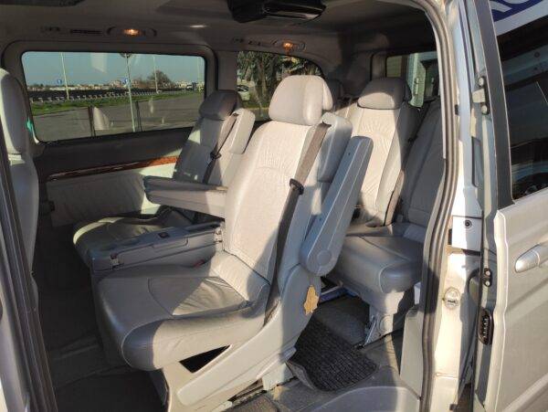 Mercedes Viano