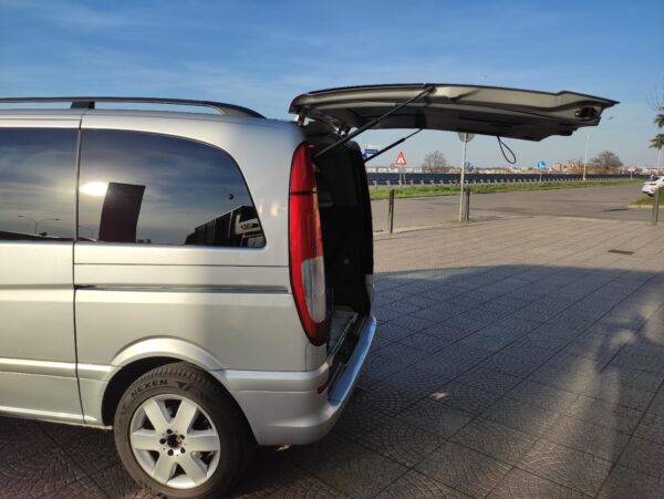 Mercedes Viano